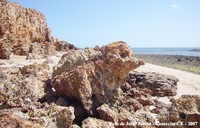camocim-ce-pedra-sapo