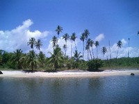 hoteis-em-barra-do-cunhau-rn-praia-da-pipa
