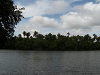 hoteis-em-barreirinhas-ma-rio-preguicas
