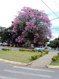 hoteis-em-bom-despacho-mg-praca-albuquerque