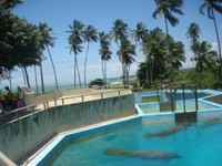 hoteis-em-cajueiro-da-praia-pi-peixe-boi-cajueiro