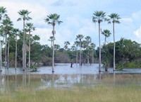 hoteis-em-campo-maior-pi-carnaubas