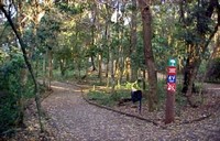 hoteis-em-cornelio-procopio-pr-bosque-municipal