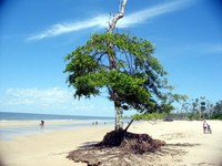 hoteis-em-marajo-pa-praia-do-pesqueiro