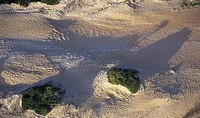 hoteis-em-maxaranguape-rn-dunas-em-maracajau