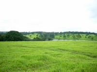 hoteis-em-neropolis-go-campo