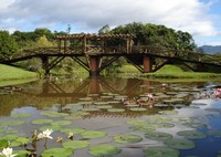 hoteis-em-timbo-sc-jardim-botanico