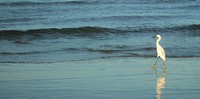 hoteis-em-tramandai-rs-praia-tramandai