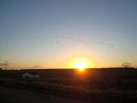teixeir-de-freitas-ba-por-do-sol